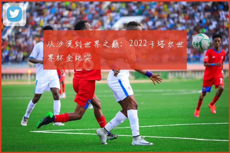 从沙漠到世界之巅：2022卡塔尔世界杯全纪实