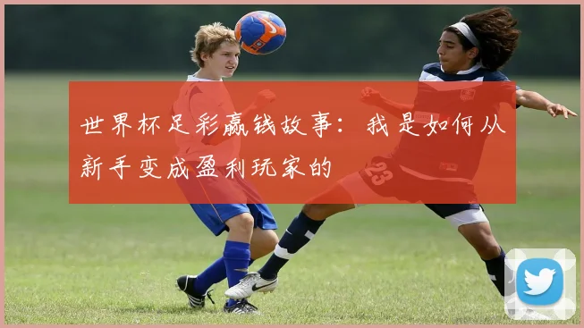 世界杯足彩赢钱故事:我是如何从新手变成盈利玩家的