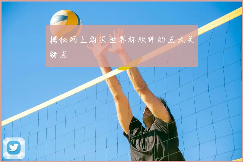 揭秘网上购买世界杯软件的五大关键点