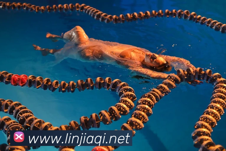 华体在线登录入口APP 封面图